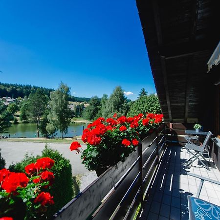 Ferienwohnungen Am Skilift Herrischried Екстер'єр фото