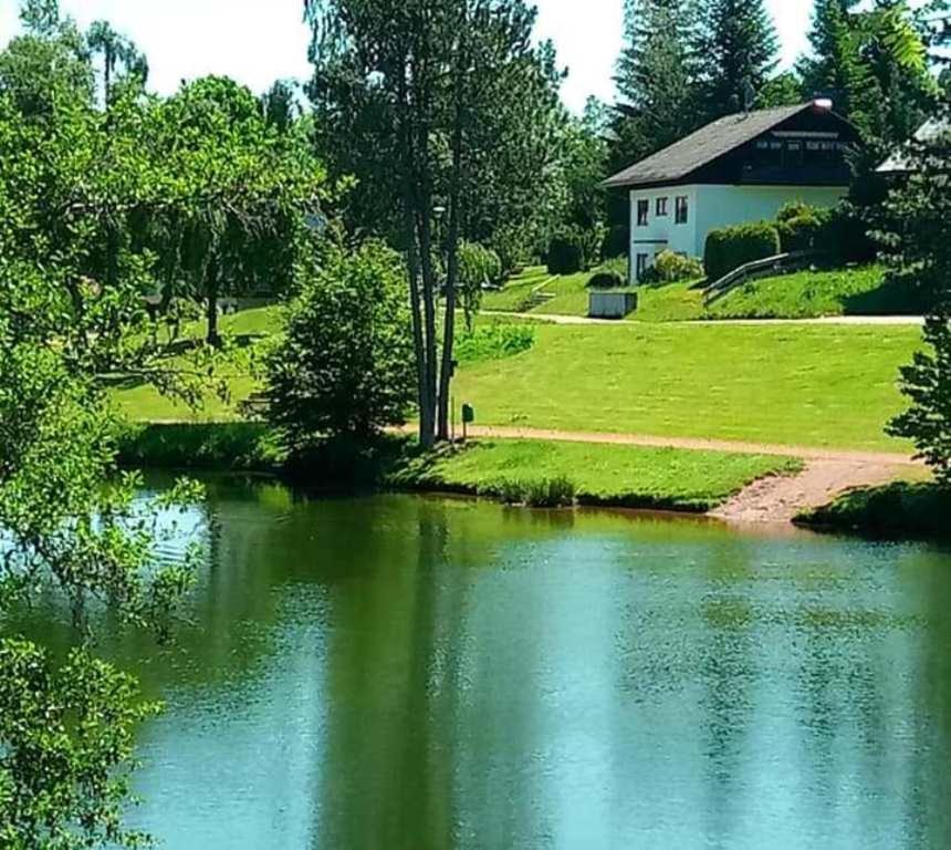Ferienwohnungen Am Skilift Herrischried Екстер'єр фото