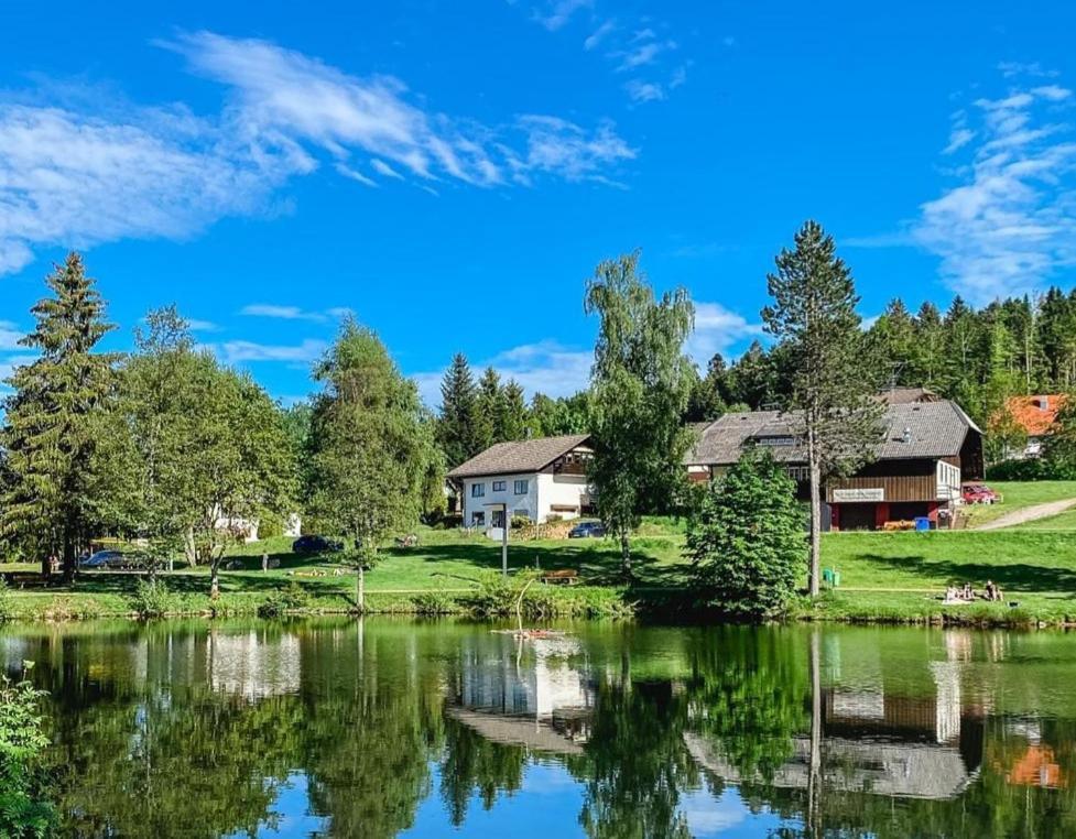Ferienwohnungen Am Skilift Herrischried Екстер'єр фото