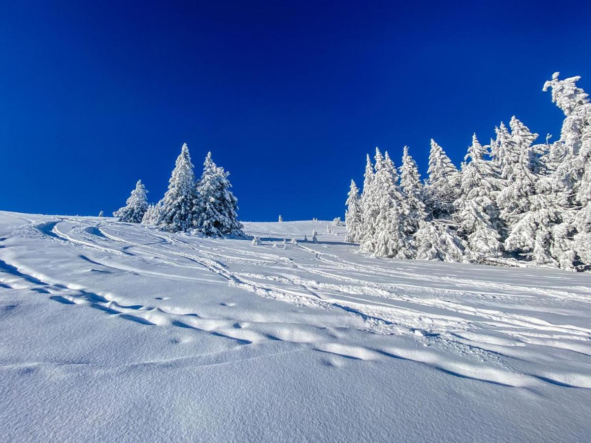 Ferienwohnungen Am Skilift Herrischried Екстер'єр фото