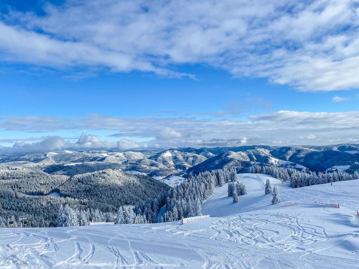 Ferienwohnungen Am Skilift Herrischried Екстер'єр фото