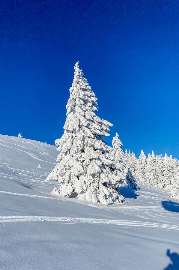 Ferienwohnungen Am Skilift Herrischried Екстер'єр фото
