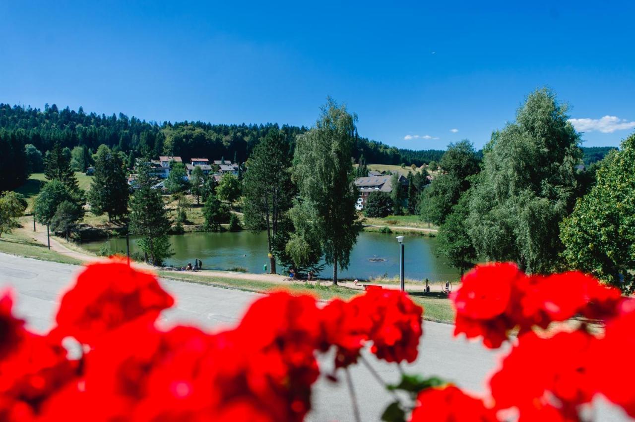 Ferienwohnungen Am Skilift Herrischried Екстер'єр фото