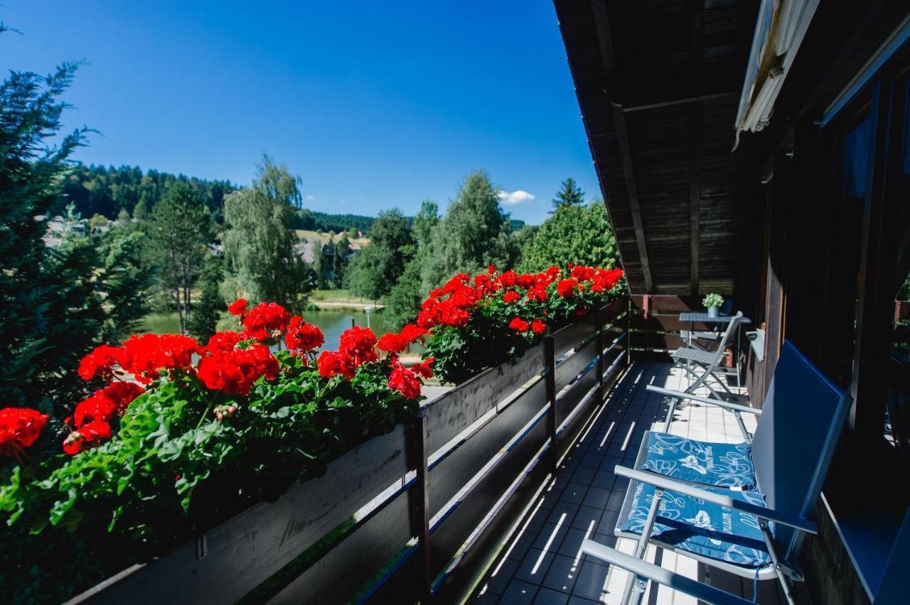 Ferienwohnungen Am Skilift Herrischried Екстер'єр фото