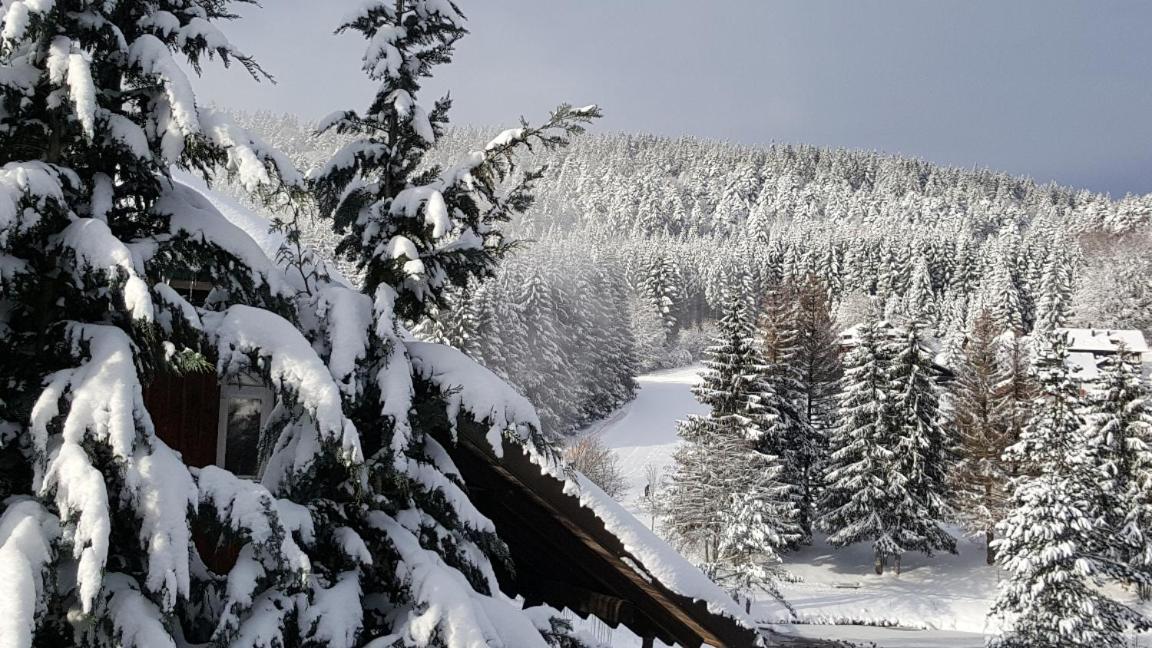 Ferienwohnungen Am Skilift Herrischried Екстер'єр фото