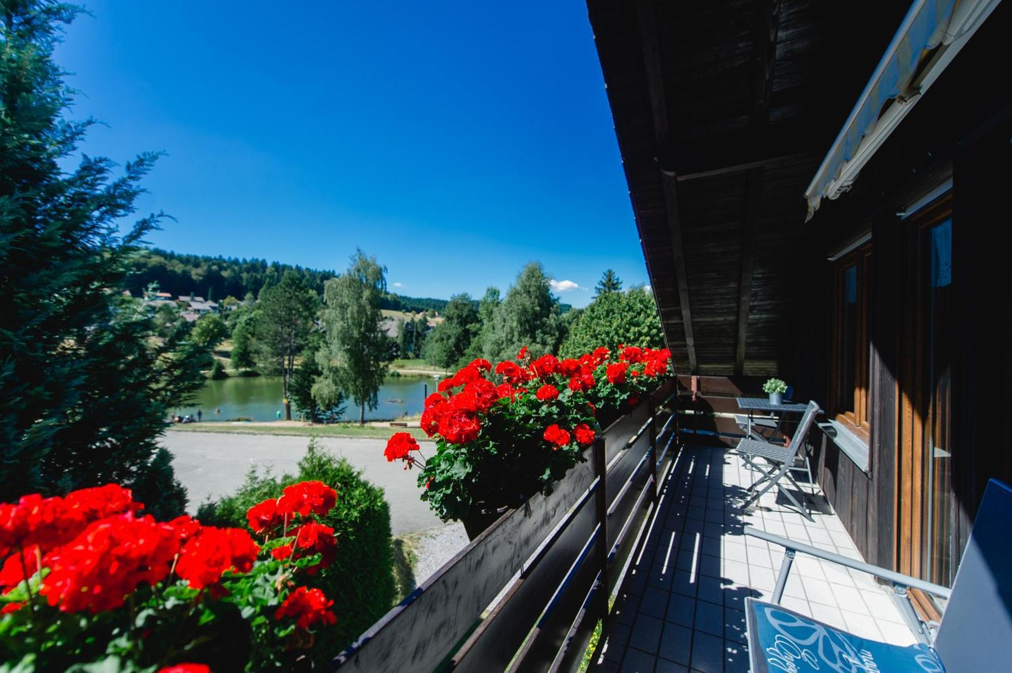 Ferienwohnungen Am Skilift Herrischried Екстер'єр фото