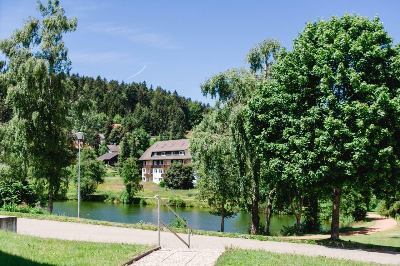Ferienwohnungen Am Skilift Herrischried Екстер'єр фото