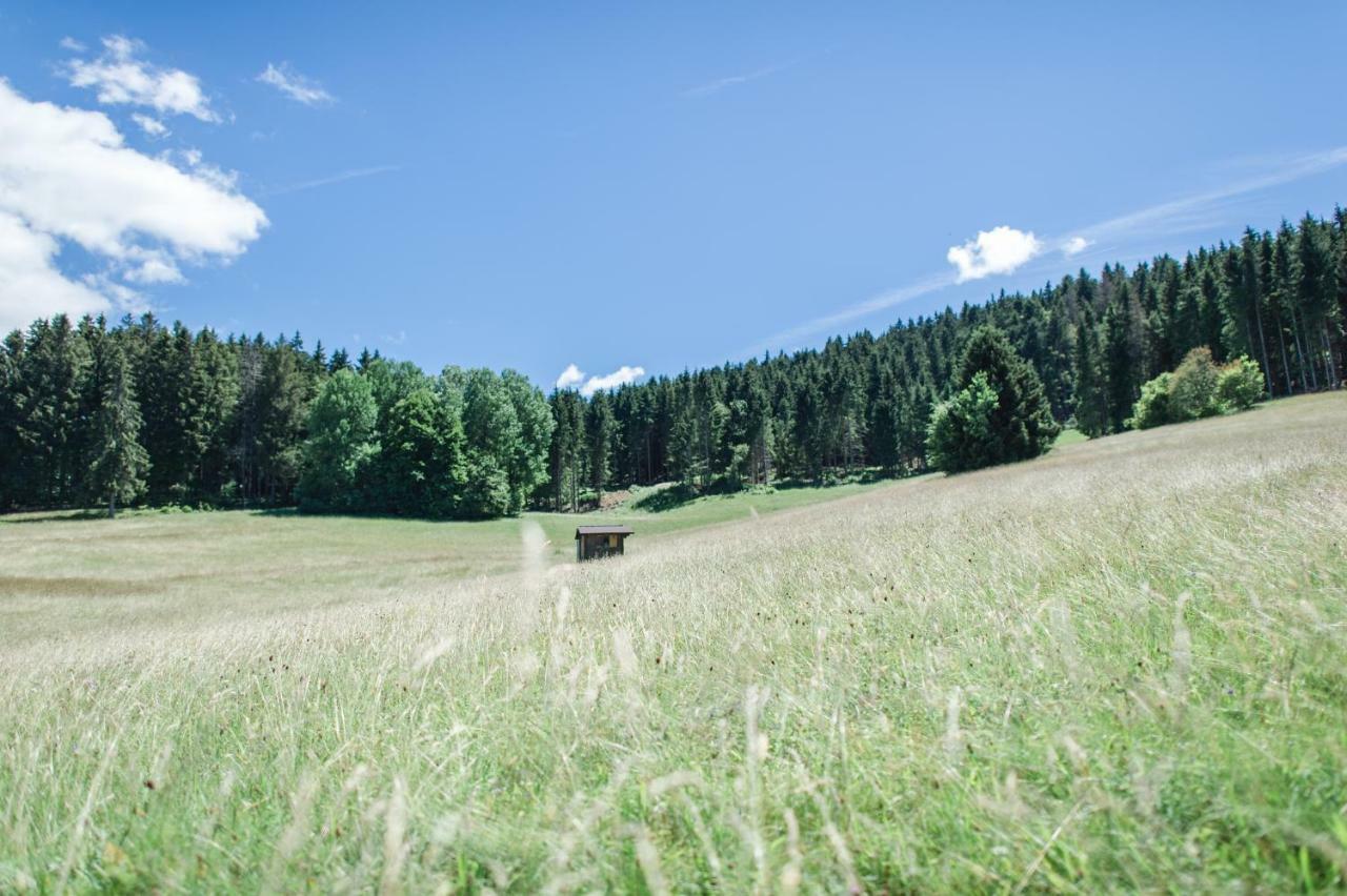 Ferienwohnungen Am Skilift Herrischried Екстер'єр фото