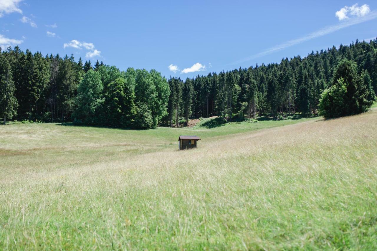 Ferienwohnungen Am Skilift Herrischried Екстер'єр фото