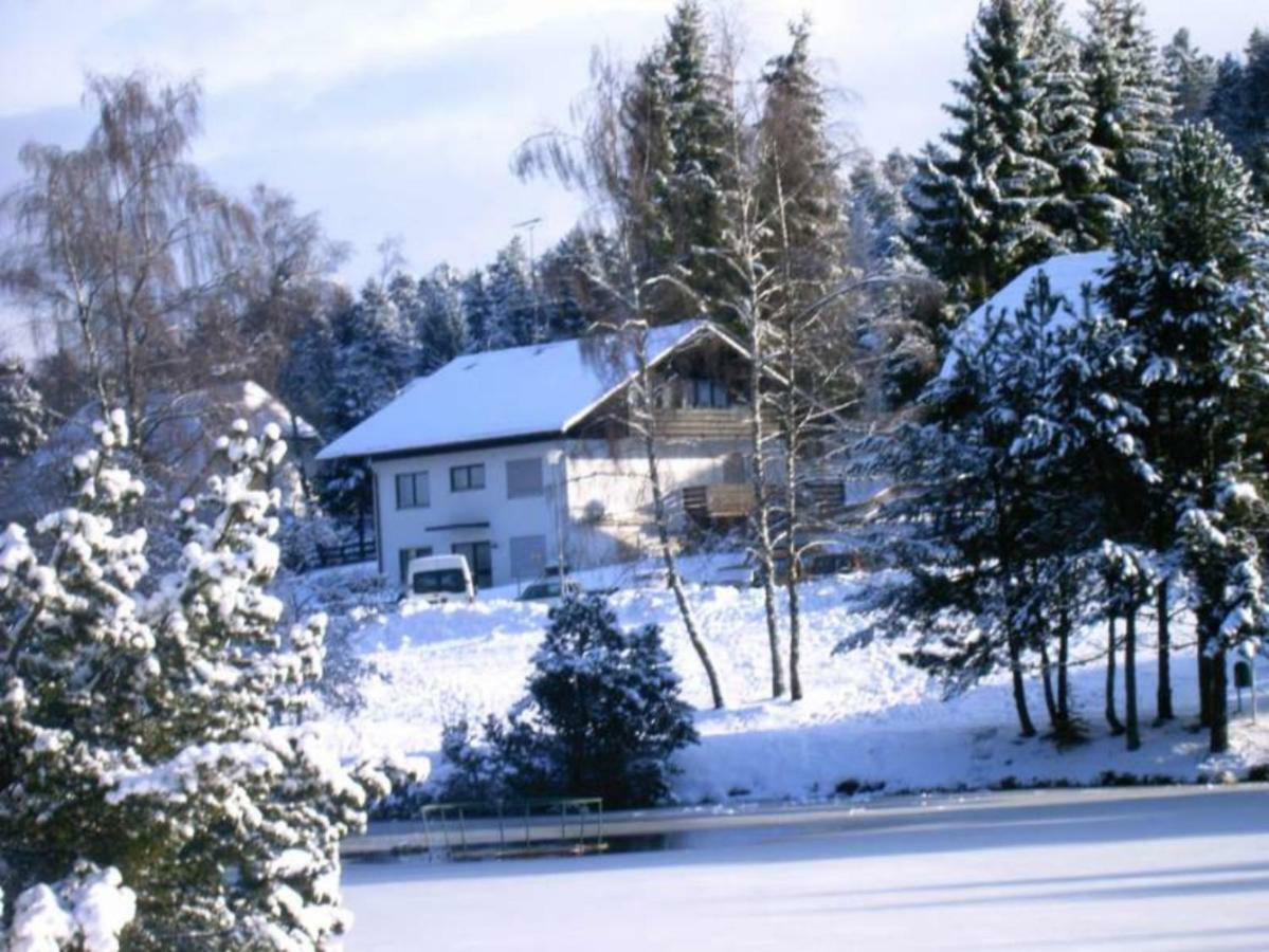 Ferienwohnungen Am Skilift Herrischried Екстер'єр фото