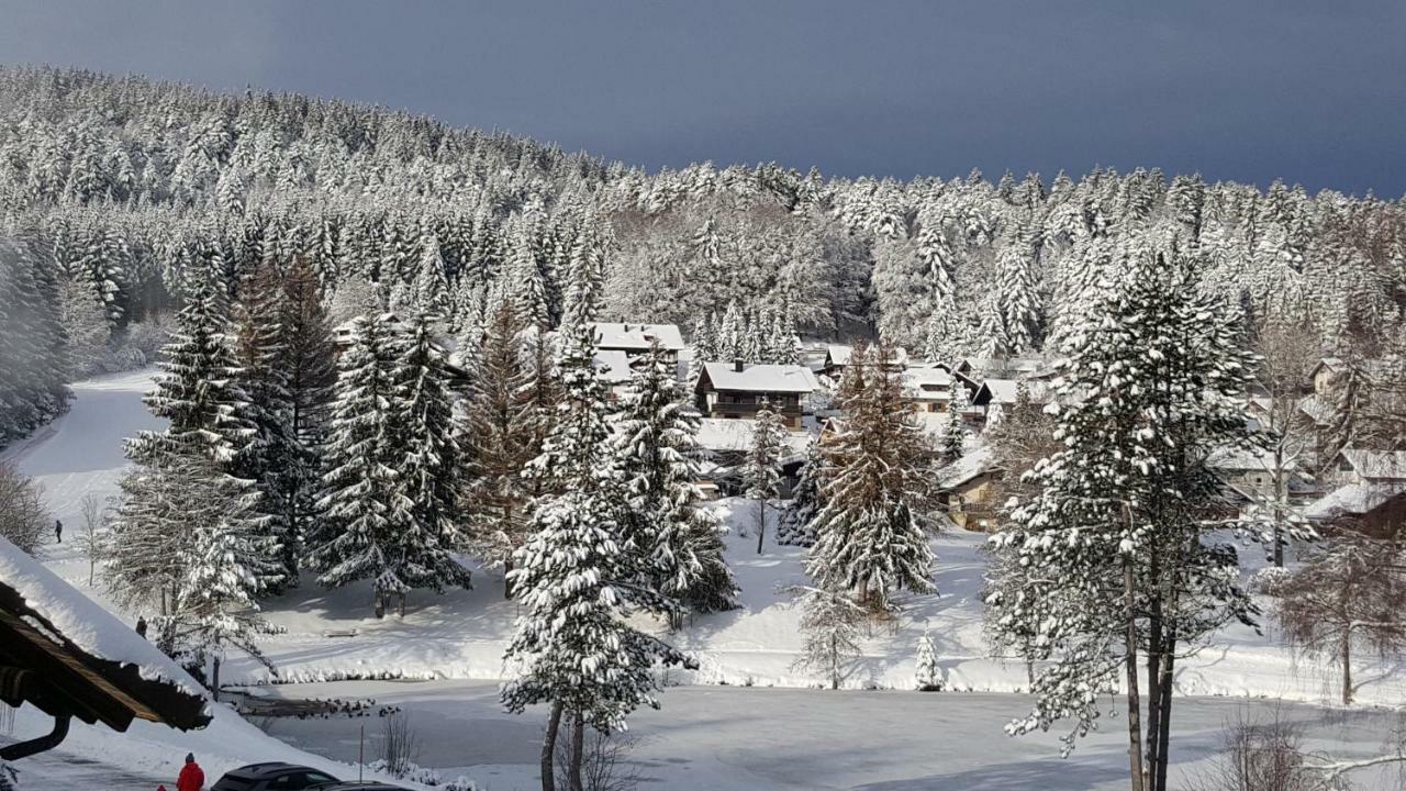 Ferienwohnungen Am Skilift Herrischried Екстер'єр фото